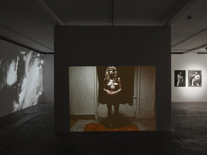Stephen Dwoskin, 2015, Vilma Gold, London, installation view