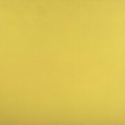 Fernand Leduc. Courtesy of Musée national des beaux-arts du Québec