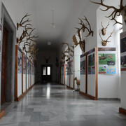 The Sallač Collection. Courtesy of National Museum of Agriculture