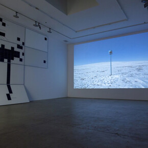 Hibernating Tattoos Guarding the Sweat of the Sun. Courtesy of Richard Taittinger Gallery