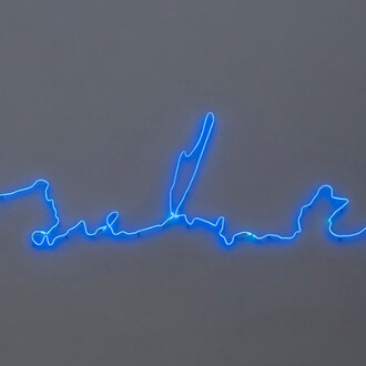 Agnieszka Kurant. Courtesy of Fortes D’Aloia & Gabriel
