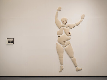 Nicolaas van de Lande, A being able to change its form, 2021,  detail, ph. Polly Thomas for g39