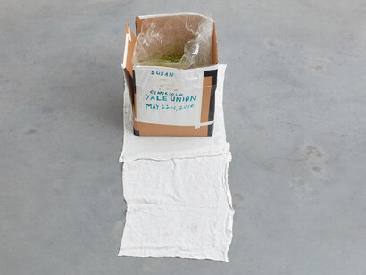 Susan Cianciolo, The Kit of Glitter and Love, 2016, cardboard box, glitter, plastic bag, drawing, Yale Union poster, masking tape, cloth tapestry, 47 x 94.5 x 45.2 cm, 18 1/2 x 37 1/4 x 17 3/4 ins, (MA-CIANS-00012) courtesy Stuart Shave/Modern Art, London