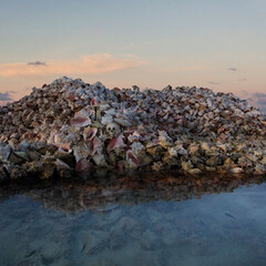 One Planet One Future. Courtesy of Moscow Museum of Modern Art