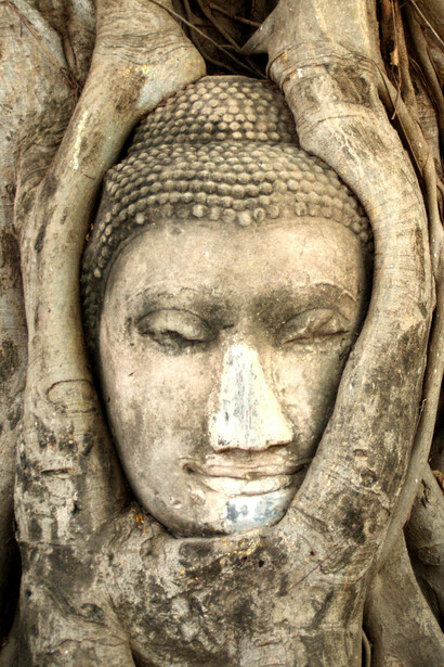 Descubra como o Ayurveda nos ensina a viver em harmonia com a natureza, seguindo seus ciclos e ritmos naturais