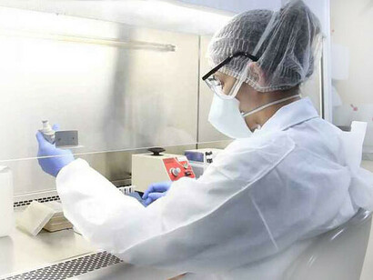 Científicos chinos notaron que un coronavirus descrito anteriormente necesita solo una mutación más para poder infectar a los humanos