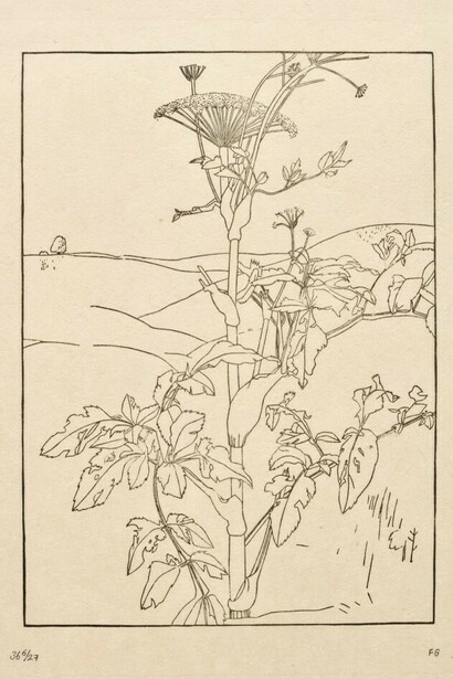 Franz Gertsch, Archangelika (Ein sommer), 1953, 1997. Couretsy of Museum Franz Gertsch