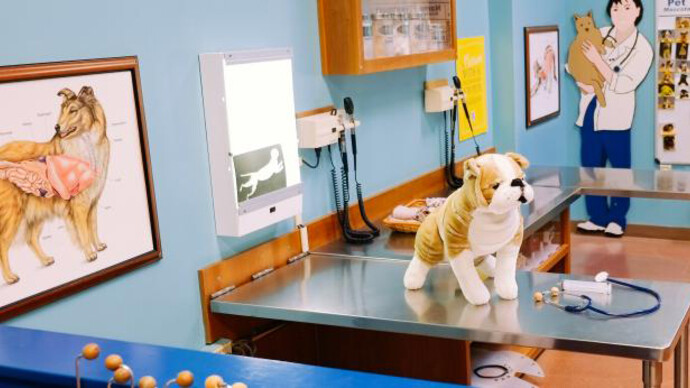 Pet Hospital. Courtesy of Portland Children's Museum