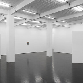 Jannis Marwitz, The directionality of fur, exhibition view. Courtesy of Trautwein Herleth Gallery