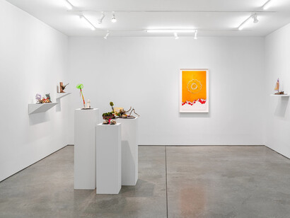 Tiffany Chung, traces, exhibition view. Courtesy of Ryan Lee Gallery
