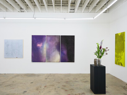 Seth Cameron, Good dog, exhibition view. Courtesy of Nina Johnson