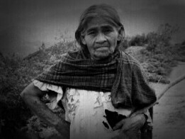 Algunos intentaron atraernos con historias de improbables parentescos con la más grande celebridad psicodélica María Sabina