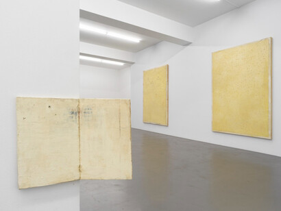A Tribute to Lawrence Carroll. Courtesy of Buchmann Galerie
