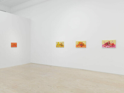 Ana Elisa Egreja, The flight of color, exhibition view. Courtesy of Jessica Silverman 