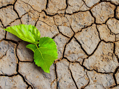 Arid land