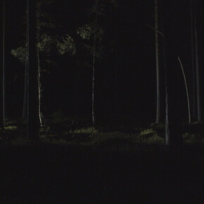 Pasi Autio, State of alert (video still, detail), 2025. Courtesy of Turku Art Museum