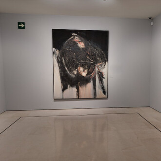 Various artists, Archipielago, exhibition view. Courtesy of Museo Carmen Thysse