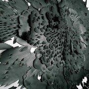 In The Beginning, (detail) 2007, Andreas Kocks