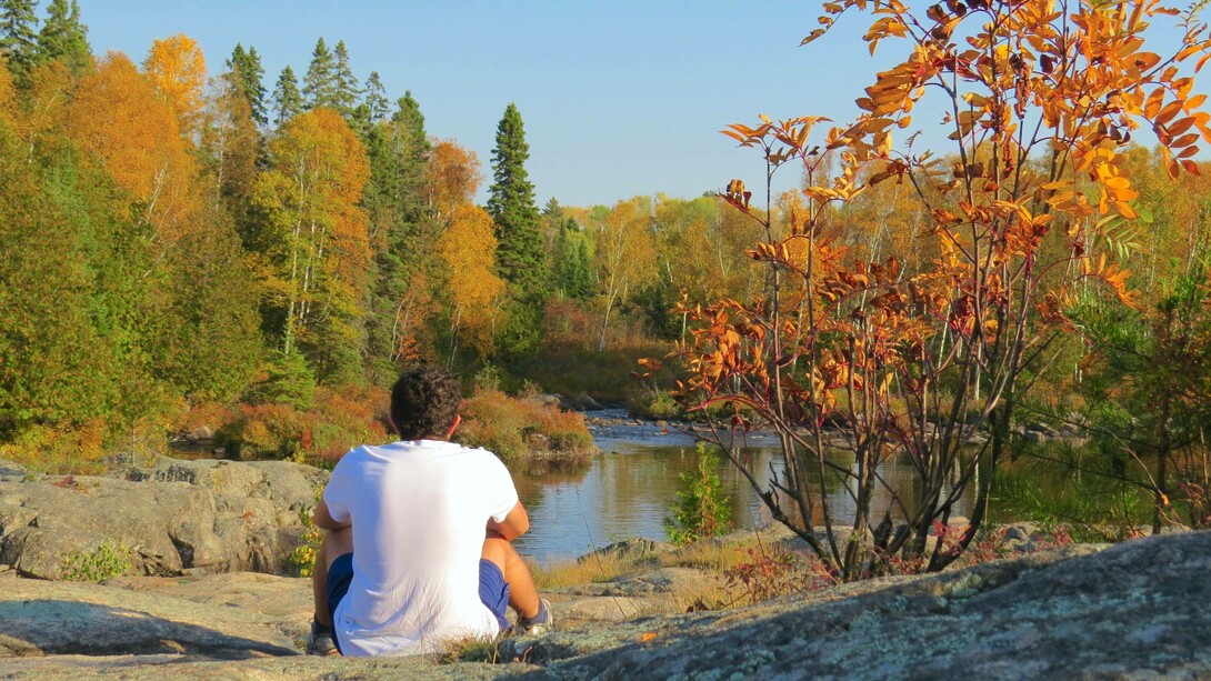 Wondering and reflecting on how to be a 'butterfly' in nature