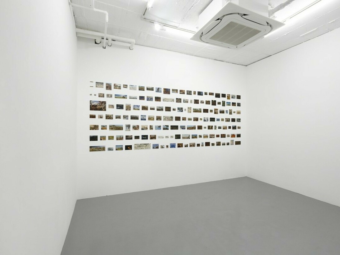 Petit War Paintings, Exhibition view. Courtesy of Snow Contemporary