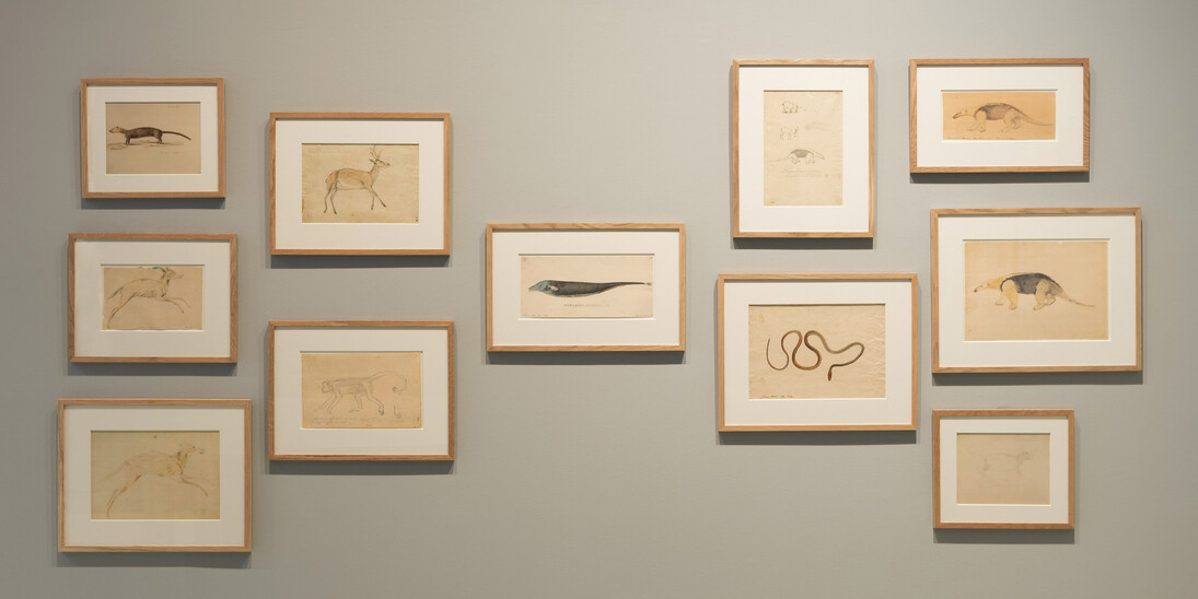 Hercule Florence, Exhibition view. Courtesy of Nouveau Musée National de Monaco