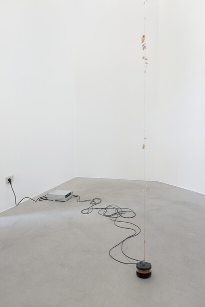 Nina Canell, Days of inertia, vista della mostra. Per gentile concessione di kaufmann repetto