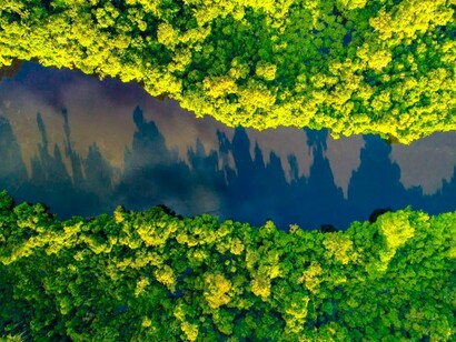 Vista aérea da Floresta Amazônica, Brasil
