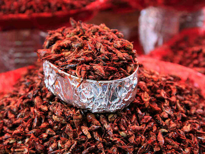 Chapulines, México