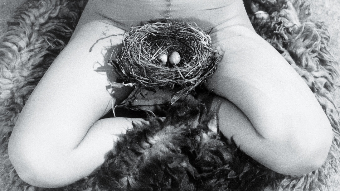 Birgit Jürgenssen, Nest, 1979 SW-Fotografie © Estate of Birgit Jürgenssen  Bildrecht, Wien, 2015  Sammlung Verbund, Wien