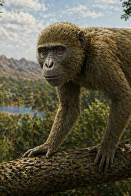 Masripithecus moghraensis è un primate vissuto tra 17 e 18 milioni di anni fa nel Miocene inferiore, noto grazie a resti fossili come mandibole e denti scoperti nel nord dell’Africa. Qui un'ipotetica ricostruzione grazie all'ausilio dell'IA