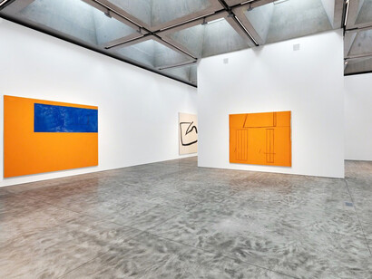 Sheer Presence. Courtesy of Paul Kasmin Gallery