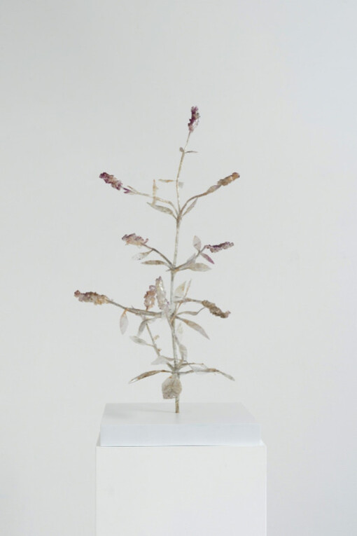 Michael Canning. Courtesy of Oliver Sears Gallery