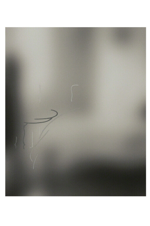 Feed. Courtesy of Pierogi Gallery