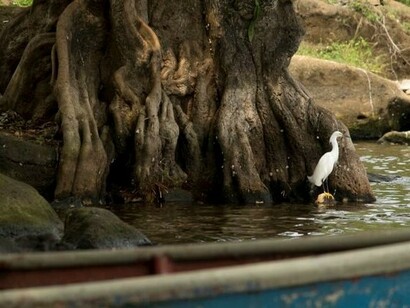 Lago de Catemaco, Veracruz, México. Foto: Sabrina Guitart