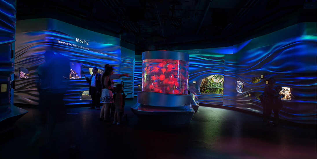 Water Planet. Courtesy of California Academy of Sciences