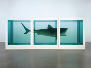 Damien Hirst, The Physical Impossibility of Death in the Mind of Someone Living, Ph. by Prudence Cuming Associates © Damien Hirst and Science Ltd.