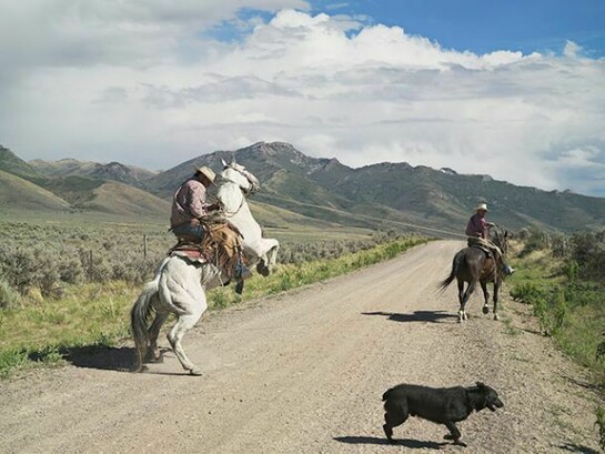 Lucas Foglia, Casey and Rowdy Horse Training, 71 Ranch, Deeth, Nevada 2012, © Lucas Foglia