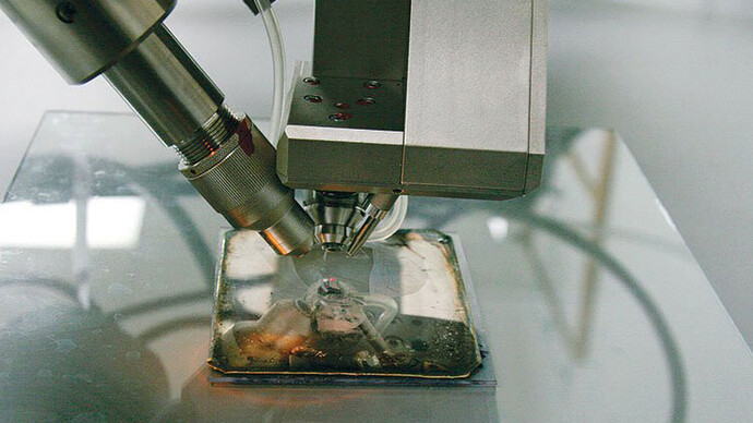 Conservation. Courtesy of George Eastman Museum