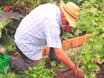 Josep Pàmies, agricultor y defensor de las plantas medicinales en su vivero Pàmies Horticoles en Cataluña, España