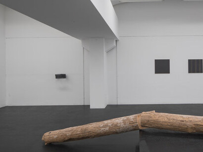 Locus Rei, Exhibition view. Courtesy of Galleria Doris Ghetta