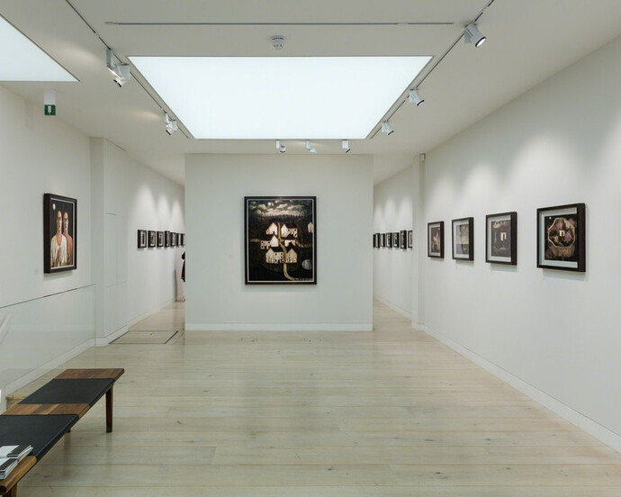 Of Gardens Long Run Wild. Courtesy of John Martin Gallery 