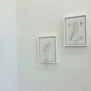 Rosemary Meza-DesPlas. Courtesy of Amos Eno Gallery