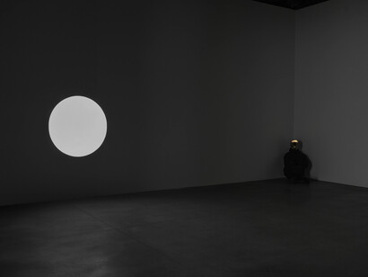 Pierre Huyghe, In imaginal, exhibition view. Courtesy of Marian Goodman Gallery