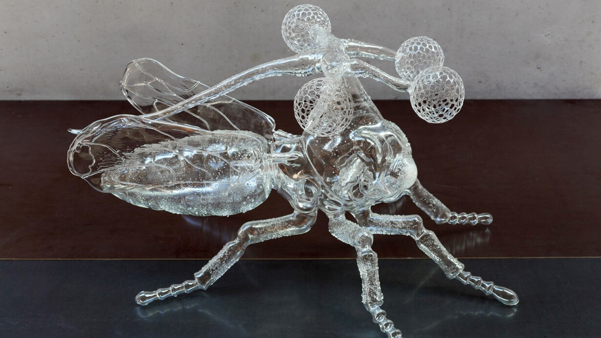 Unknown Species, 2017