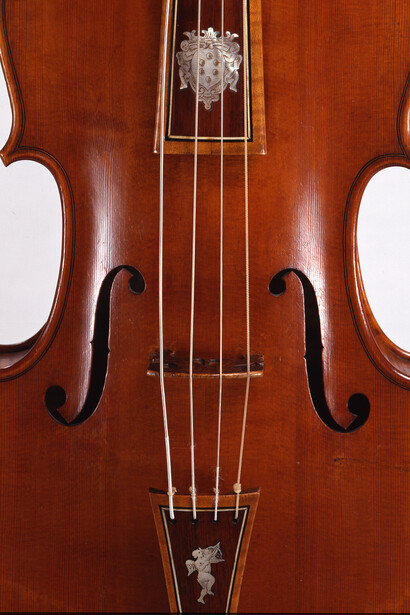 Viola Medicea part.1