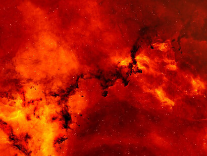 ¿Cuántas novas pueden caber en un cuerpo masculino desacostumbrado a protocolos de vientres maternos?