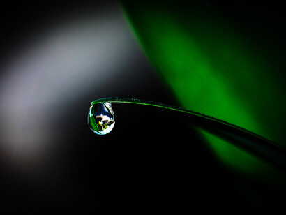 Cycle de l'eau. Les luttes contre la déforestation préparent le commun des mortels à se désolidariser des gestes compromettants pour la survie de notre planète