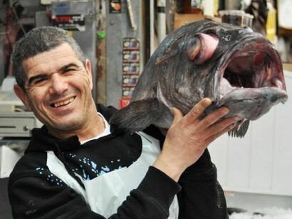 Joking with a huge fish in Mahane Yehuda