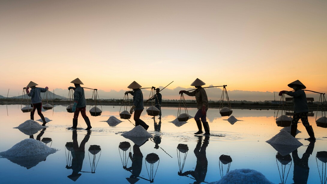 Salt harvesters carrying baskets across shallow waters at sunrise, representing the dignity and value of labor in sustaining society