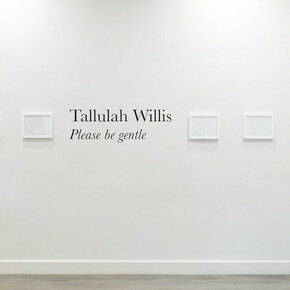 Tallulah Willis. Please be gentle, exhibition view. Courtesy of Eric Buterbaugh Gallery